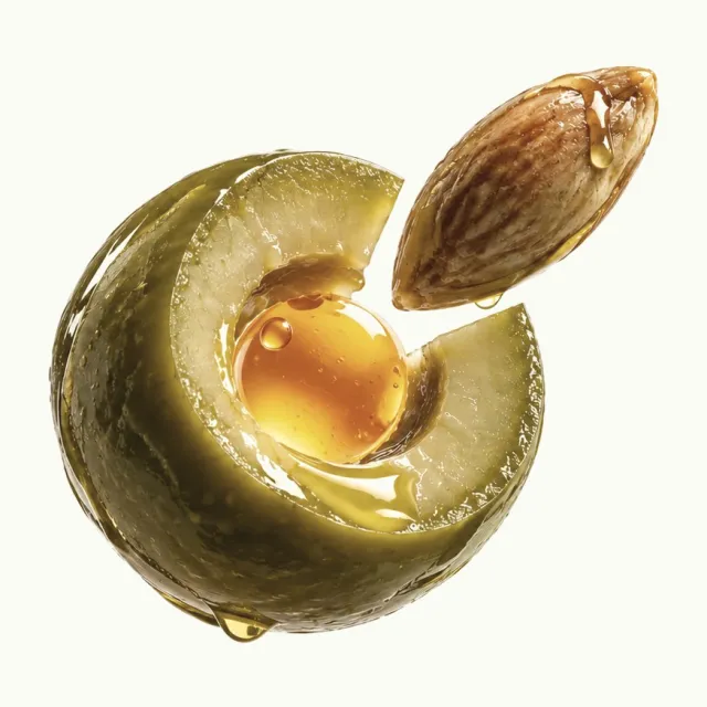 Una aceituna abierta con el dibujo del logo de Oliven: la pulpa forma el anillo, una gota de aceite marca el punto del centro y el hueso sale por la abertura, en el lugar de la hoja.
